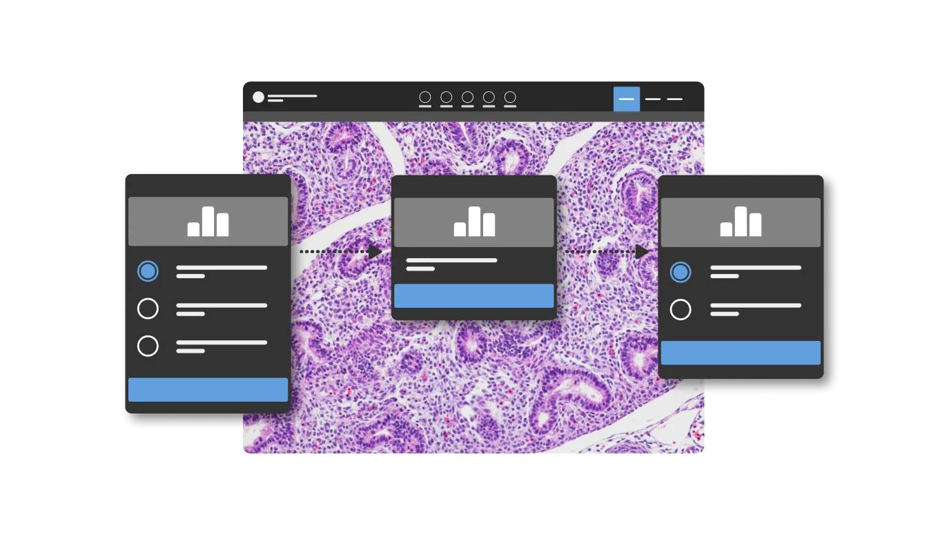 Algorithm workflow steps in the uPath digital pathology platform